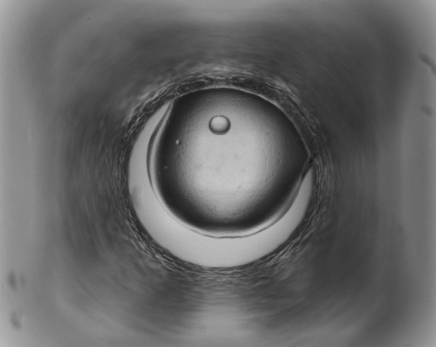 X0000099501253200806051114