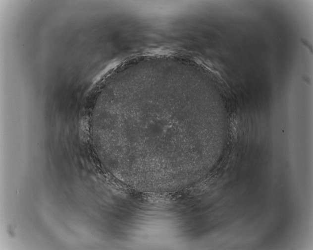 X0000099501254200806051114