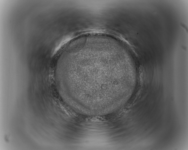 X0000099501255200806051114