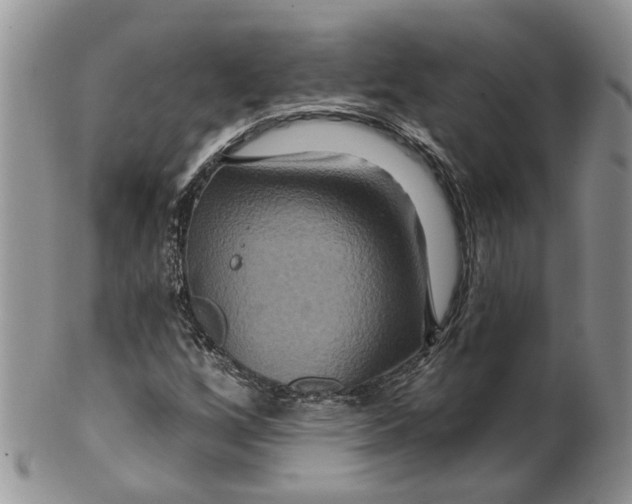 X0000099501256200806051114