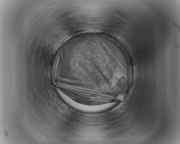 X0000099501257200806051114