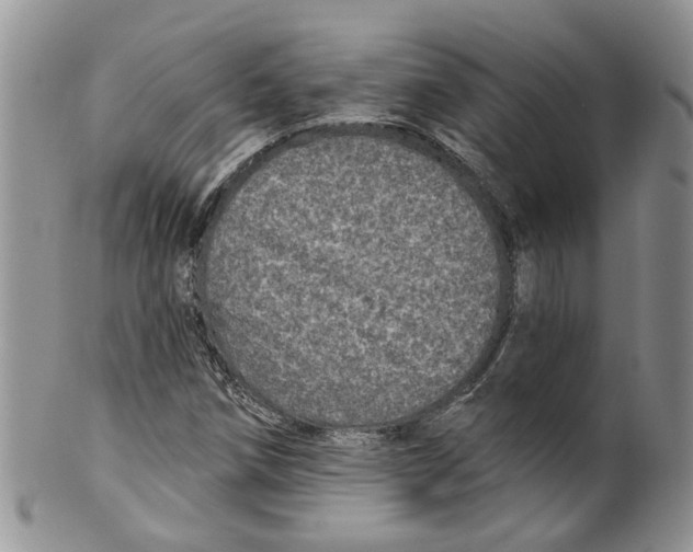 X0000099501258200806051114