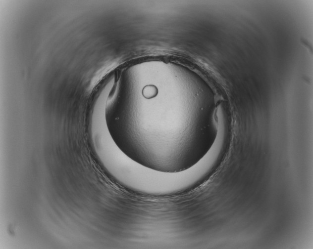 X0000099501261200806051114