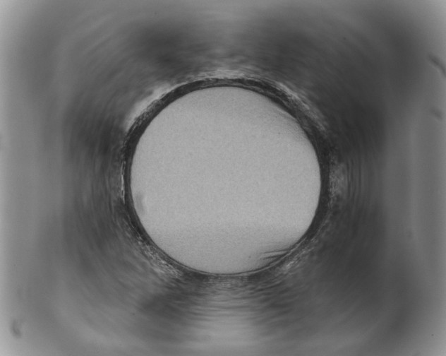 X0000099501262200806051114