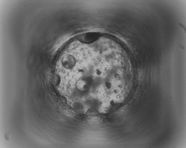 X0000099501263200806051114