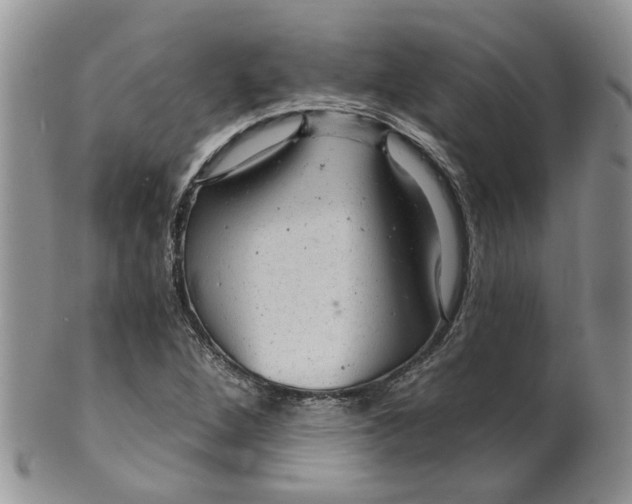 X0000099501264200806051114