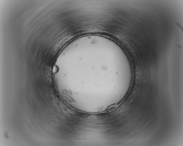 X0000099501265200806051114