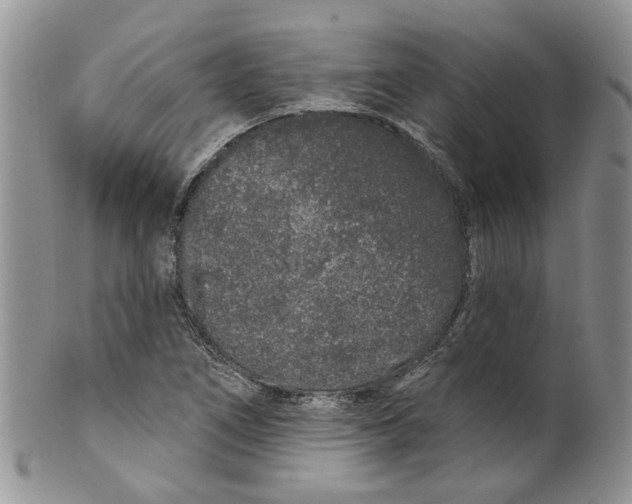 X0000099501266200806051114