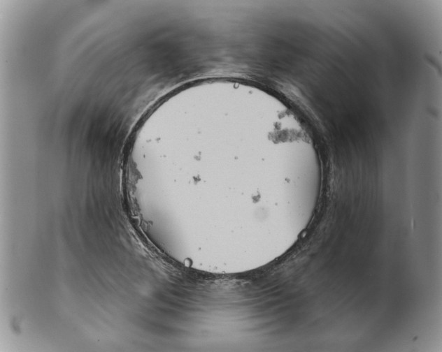 X0000099501268200806051114