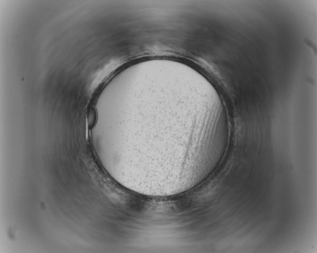 X0000099501269200806051114