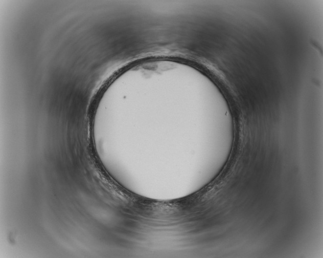 X0000099501270200806051114