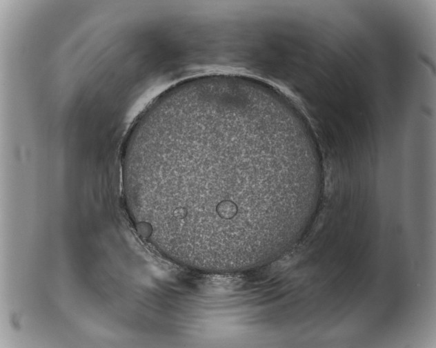 X0000099501271200806051114