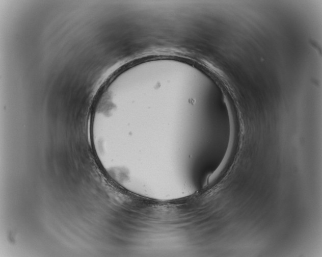 X0000099501272200806051114