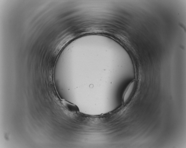 X0000099501273200806051114