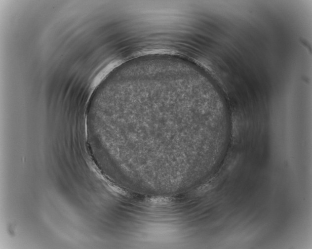 X0000099501274200806051114