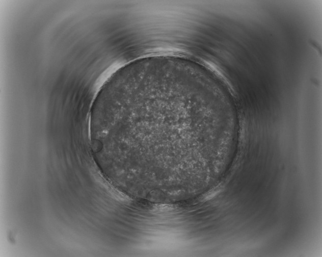 X0000099501275200806051114