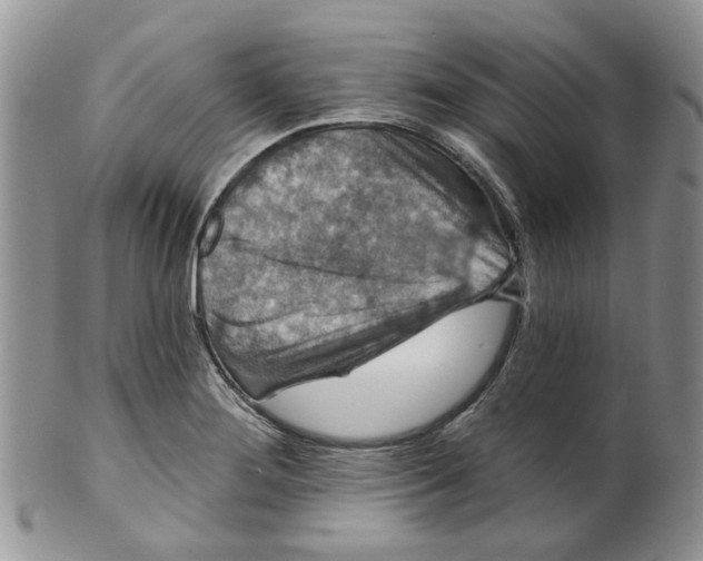 X0000099501276200806051114