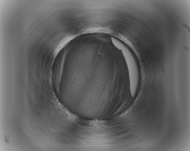 X0000099501277200806051114