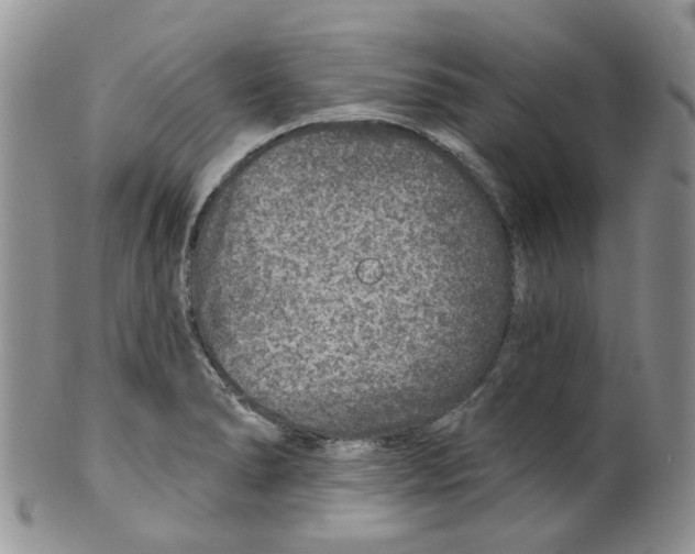 X0000099501278200806051114