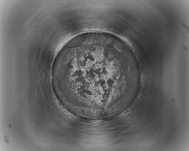 X0000099501279200806051114