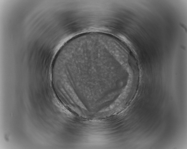 X0000099501280200806051114