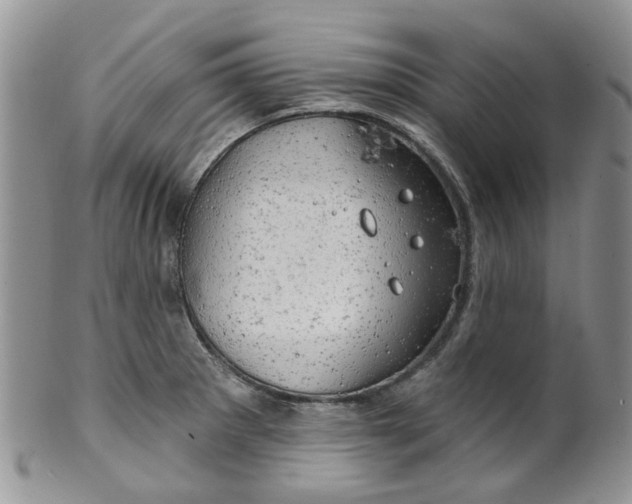 X0000099501281200806051114