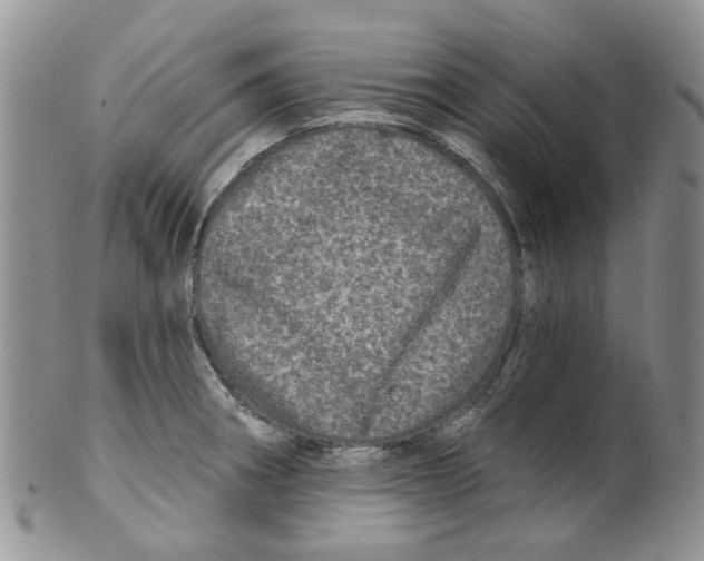 X0000099501282200806051114