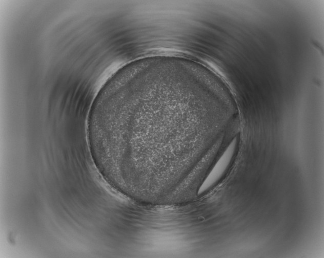 X0000099501283200806051114