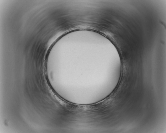 X0000099501286200806051113