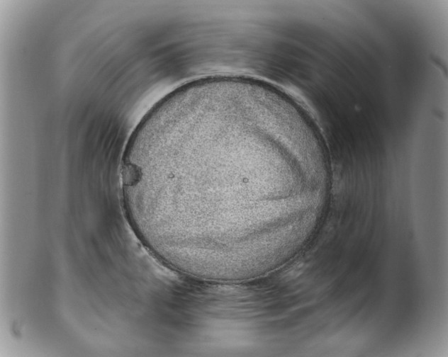 X0000099501287200806051113