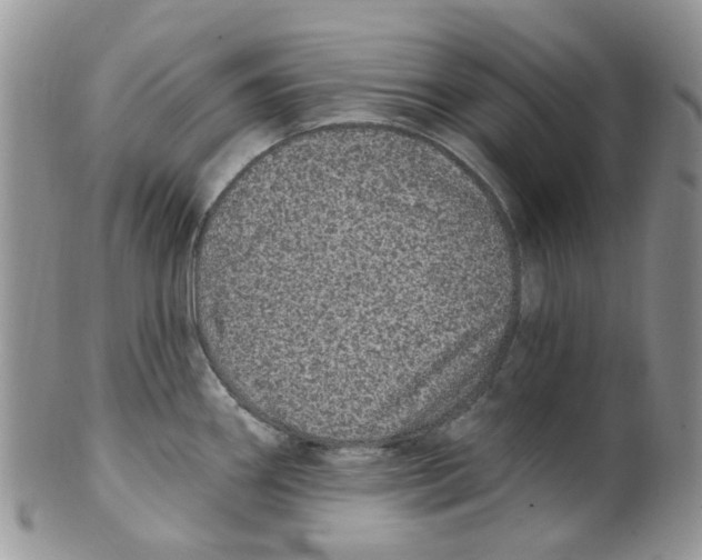 X0000099501290200806051113