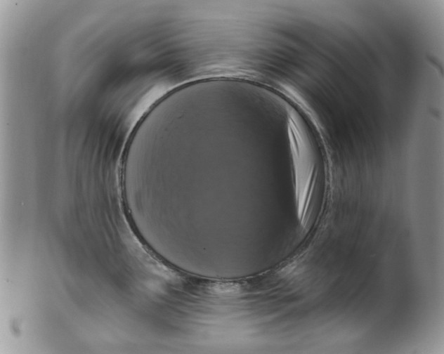 X0000099501291200806051113