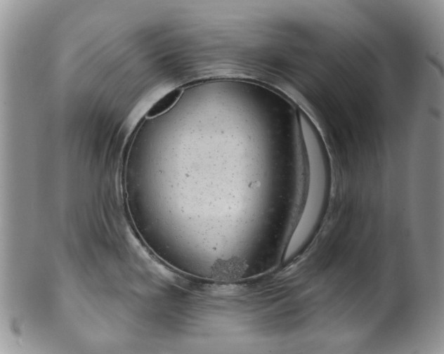 X0000099501293200806051113