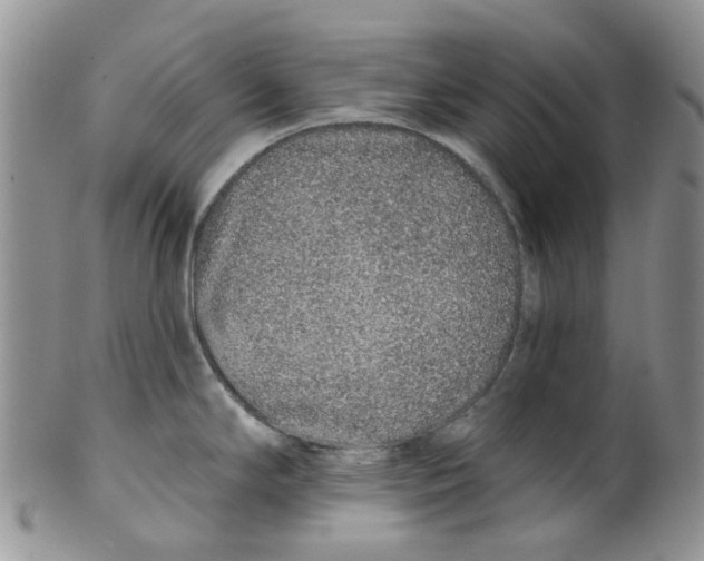 X0000099501294200806051113