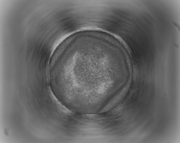 X0000099501295200806051113