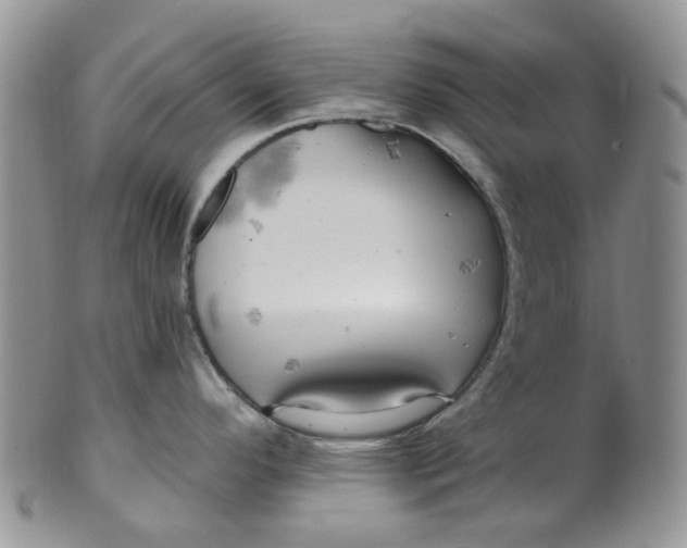 X0000099501296200806051113