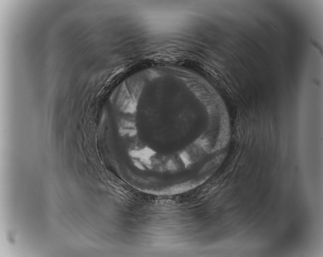 X0000099501297200806051112