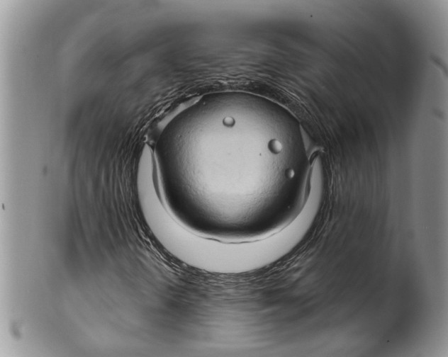 X0000099501298200806051112