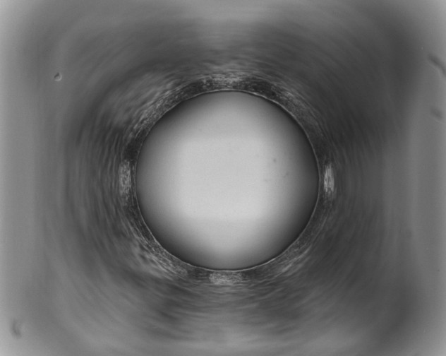 X0000099501299200806051112