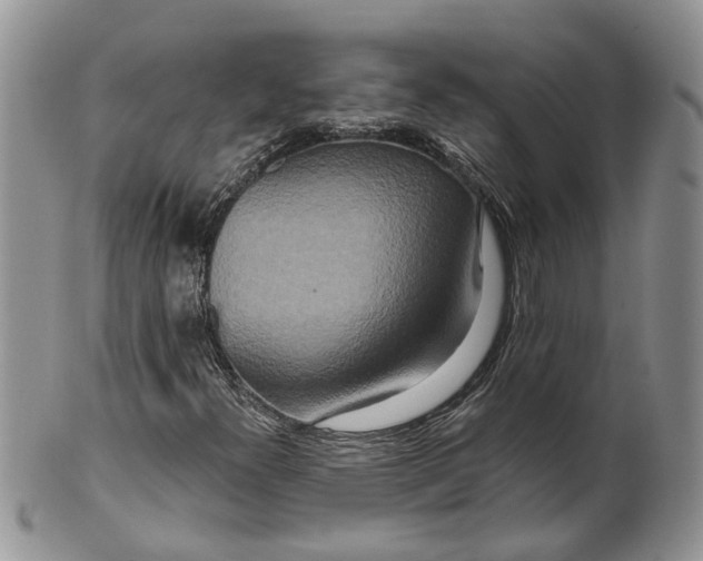 X0000099501300200806051113