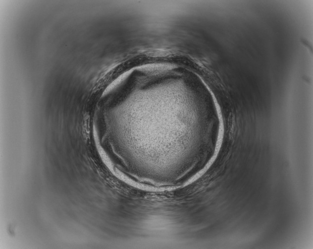 X0000099501301200806051113