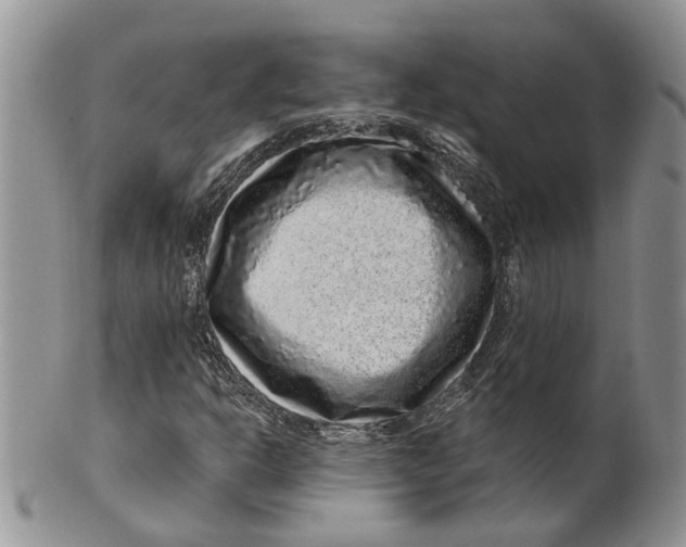 X0000099501302200806051113