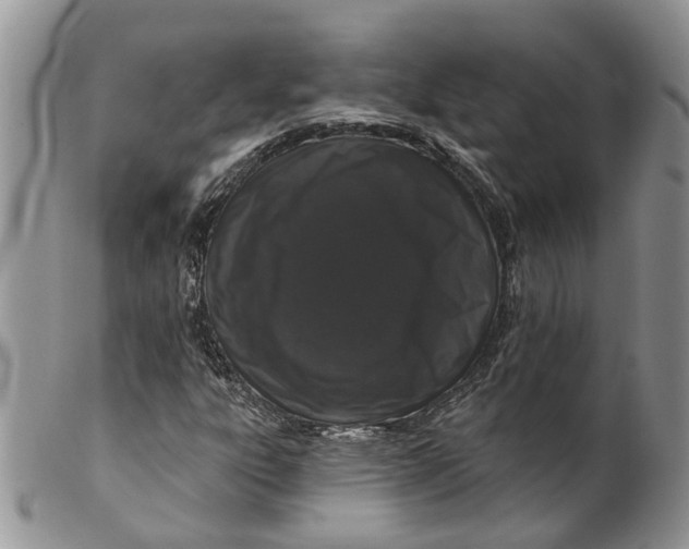 X0000099501303200806051113