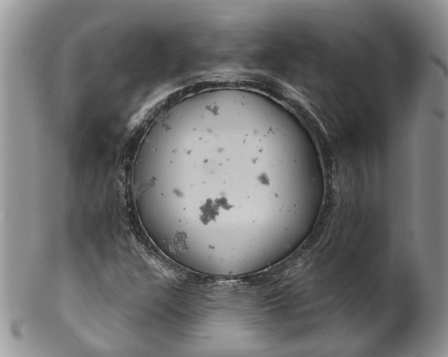 X0000099501304200806051113