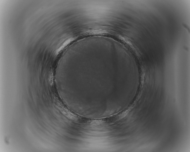 X0000099501306200806051113