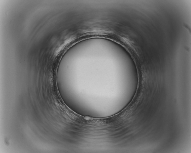 X0000099501307200806051113