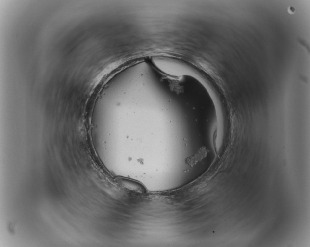 X0000099501308200806051113