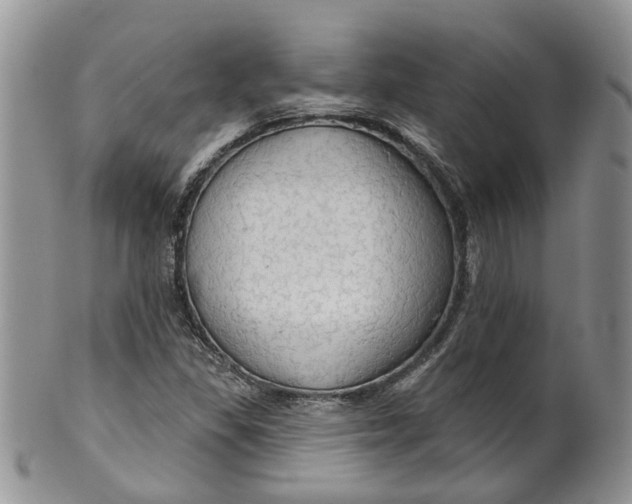 X0000099501309200806051113