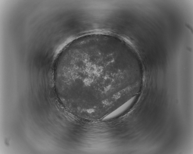 X0000099501310200806051113