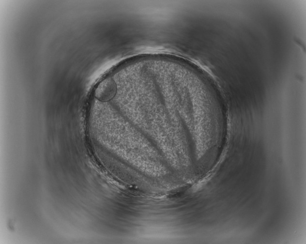 X0000099501311200806051113